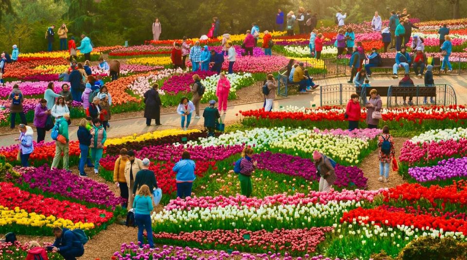 � ��������� ������������ ���� ��������� XIX ����� ��������� "��������� �������� �����"