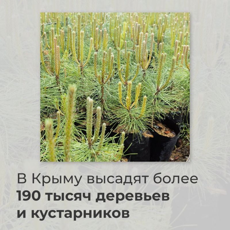 ���� �����������: �� 2026 ��� ����������� �������� ����� 190 ����� �������� � �����������