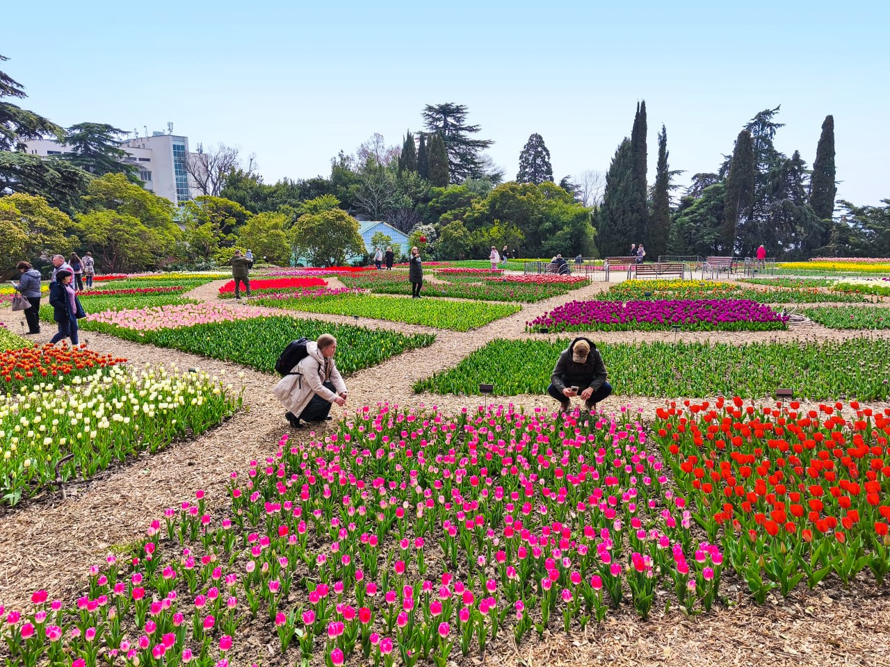 «Романтика крымской весны»: в Никитском ботсаду открылся 19-й парад тюльпанов «Романтика крымской весны»: в Никитском ботсаду открылся 19-й парад тюльпанов