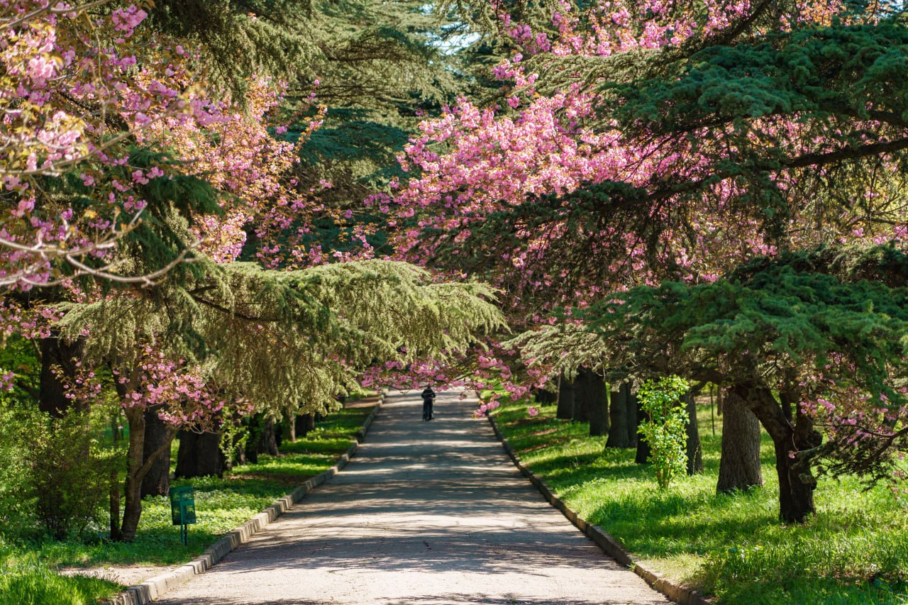 Симферополь без барьеров: инклюзивный маршрут по столице Крыма