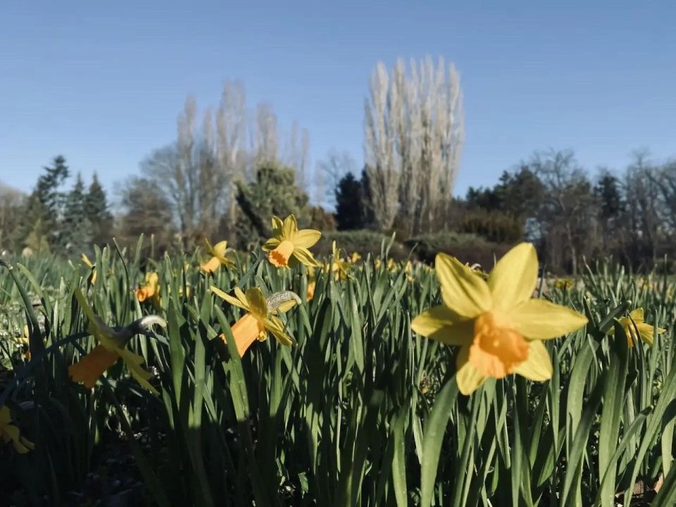 ������ � ����������� 28 �����