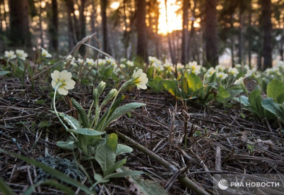 Прогноз погоды в Крыму на субботу