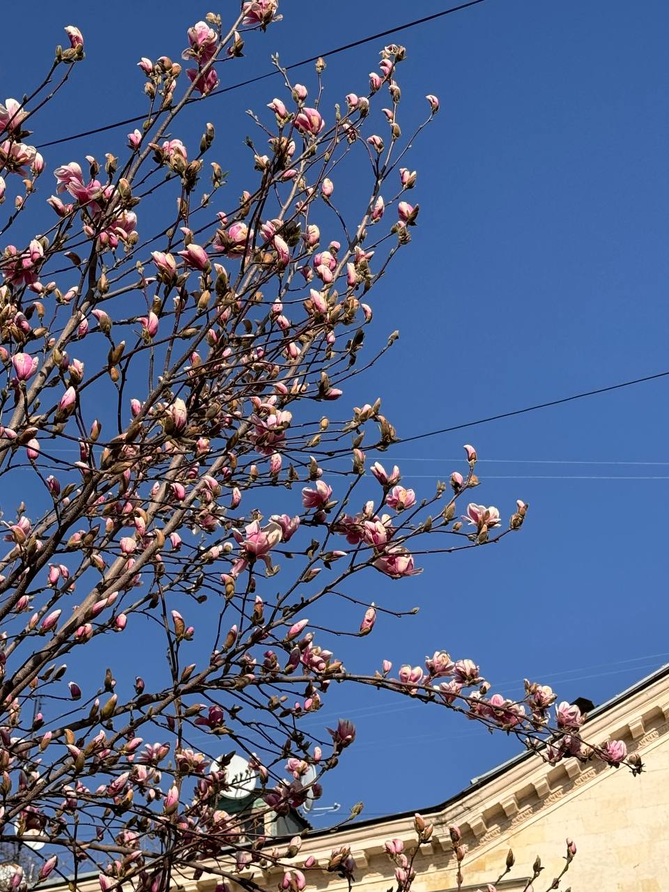 Какая погода ждёт жителей и гостей Крыма 28 марта