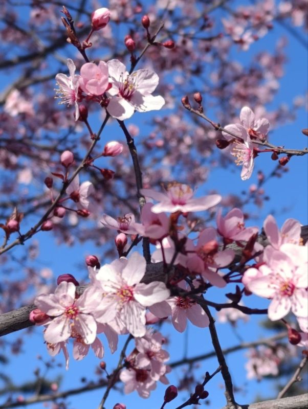 ����� �������� - ��������� ������� ���� �����������, ��������� ����� ������ ����� � ������� �����