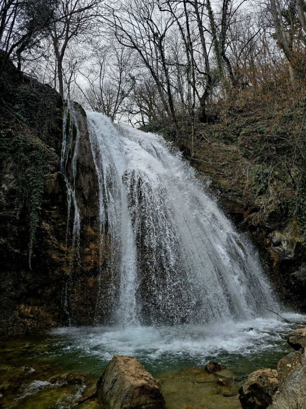 ������ ����������: ����. � ����. ���� ������� ������ �����