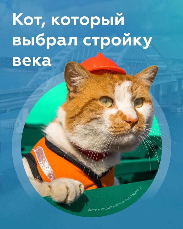 ������ ���������: ������� ���� �������