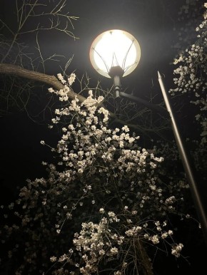 ���� ������ ����� �����������: � ����������� ��� ������� �������� �����!