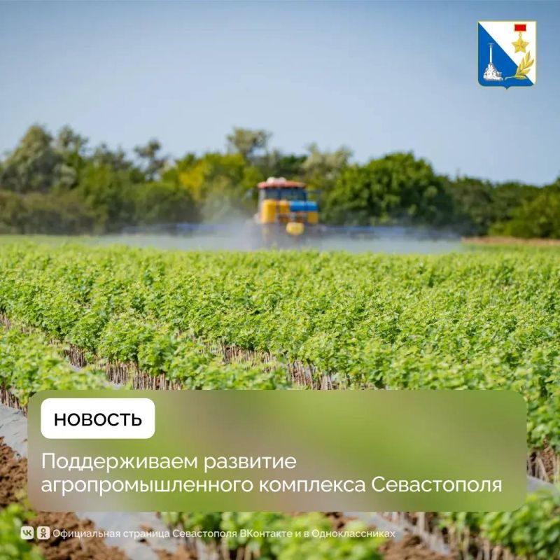 ������������ �������� ����������������� ��������� �����������