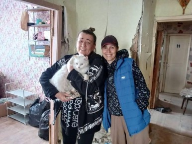 Еще одного пропавшего кота нашли после взрыва в доме в Севастополе, сообщил губернатор города Развожаев