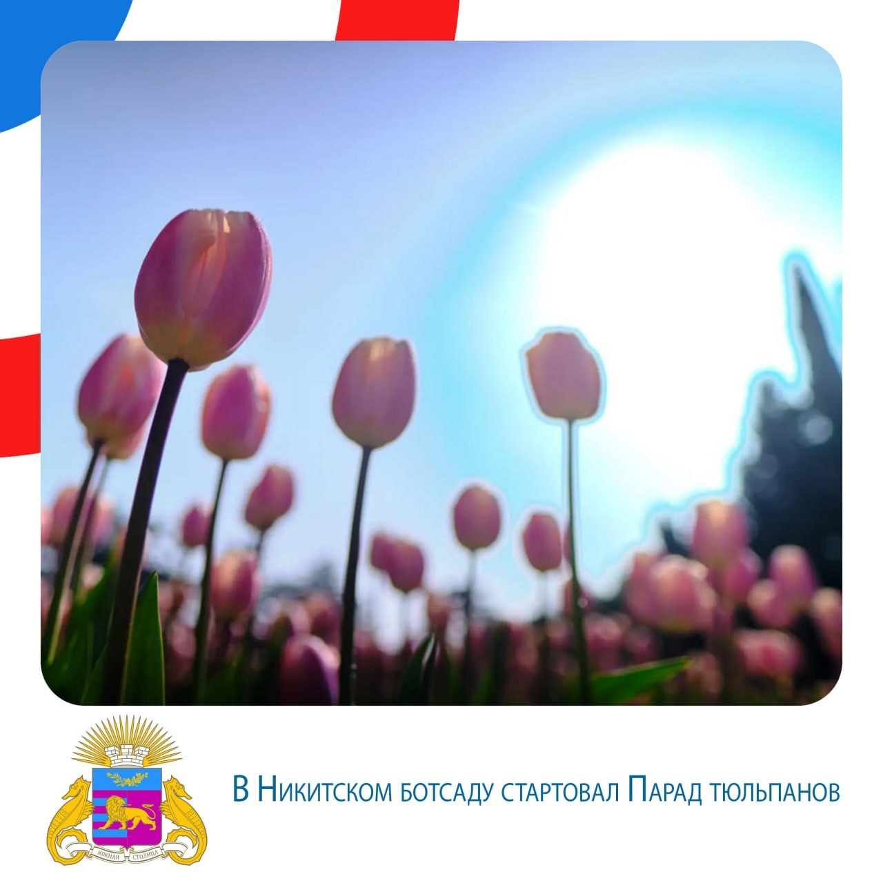 Янина Павленко: Итоги недели. 23-29 марта В Ялте стартовал эко-проект «Птичкин ДОМ» Янина Павленко: Итоги недели. 23-29 марта В Ялте стартовал эко-проект «Птичкин ДОМ»