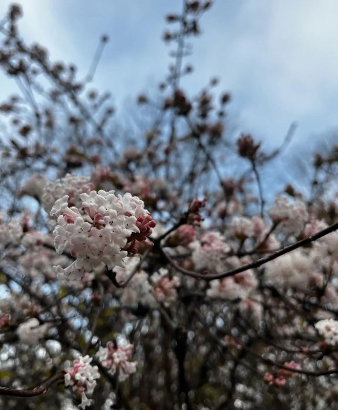 Прогноз погоды в Крыму на 29 марта