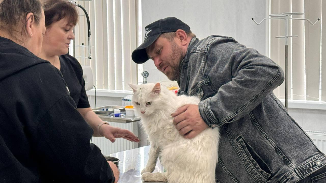 Еще одного пропавшего кота нашли после взрыва в доме в Севастополе, сообщил губернатор города Развожаев Еще одного пропавшего кота нашли после взрыва в доме в Севастополе, сообщил губернатор города Развожаев