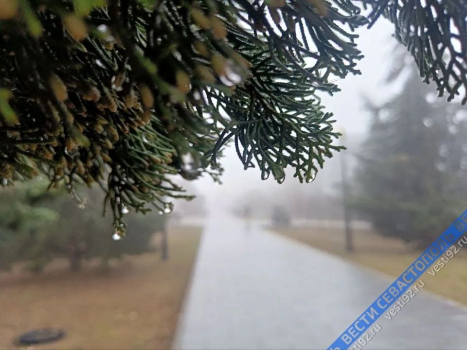 ��� �������������: 30 ����� � ����������� ��������� ��������� ������