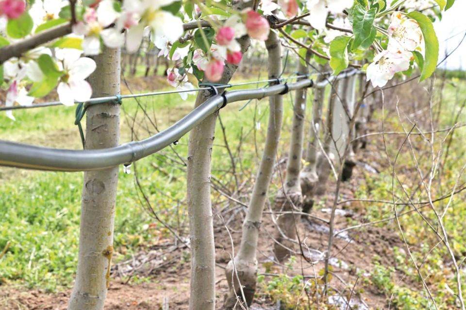 ����� 227 ��� ������ �������� �� ��������� �������� ������������ � ���� ����