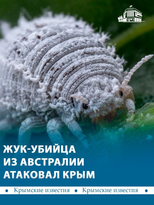 ������� ��������� �������� �������� ������ ������ �����: �� ������ ������ ���� ������ ����� �������