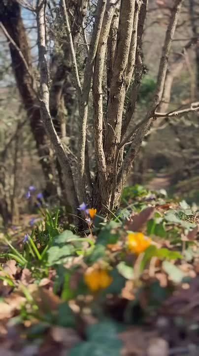 � ����� ����� ������������ ����� � ����� �� ���������� ��� �������� ������� ����?