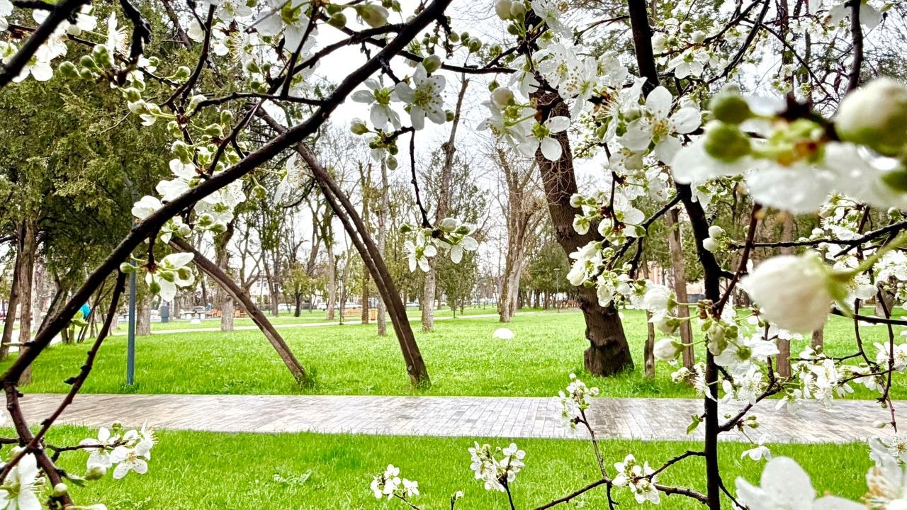Сегодня Всемирный день прогулки по парку! Отмечаем его прогулкой в парке Шевченко — месте, где здорово гулять в любую погоду Сегодня Всемирный день прогулки по парку! Отмечаем его прогулкой в парке Шевченко — месте, где здорово гулять в любую погоду