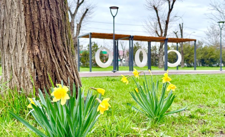 ������� ��������� ���� �������� �� �����! �������� ��� ��������� � ����� �������� � �����, ��� ������� ������ � ����� ������