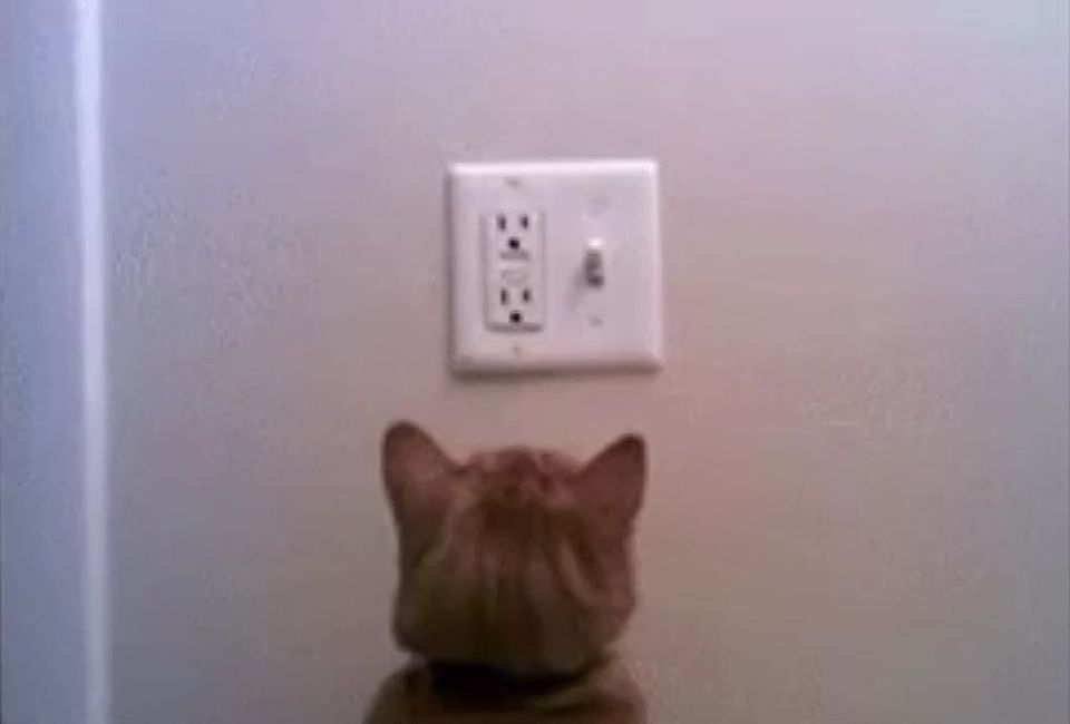 ������ � ����� �������� ���������� ��-�� ������