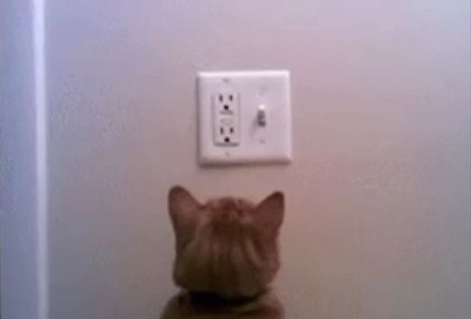 ������ � ����� �������� ���������� ��-�� ������