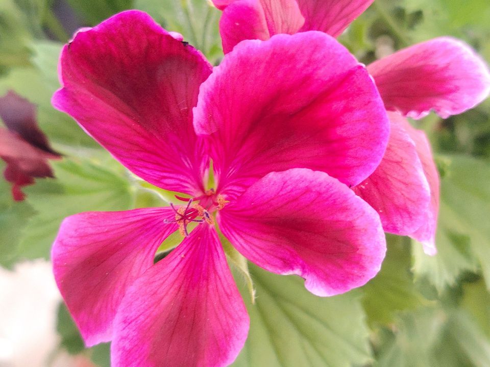 ������ ����, �������!. ������, ����� ���� � ����� ������ �� �������� ������ ���� ����������