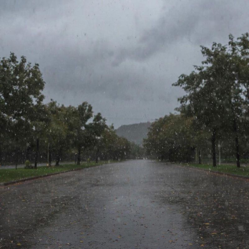 ������� ����� ����� ��������� ���� �� ��������