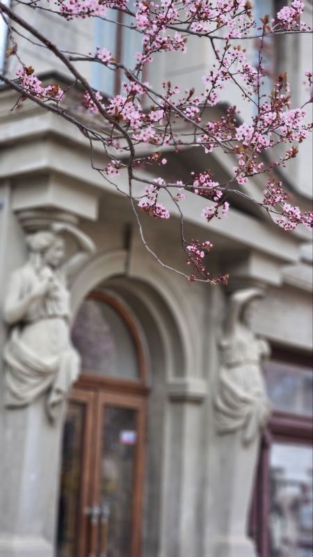 ����� �������� ���������� � �������� ������ � �����������