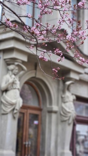 ����� �������� ���������� � �������� ������ � �����������