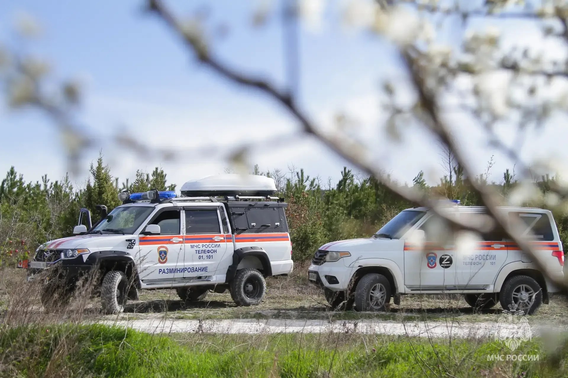 За неделю в Севастополе потушили 22 пожара