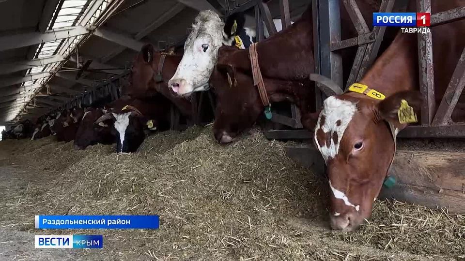 �������� ���������� �������� ������������ ����� � �������� �������� �����