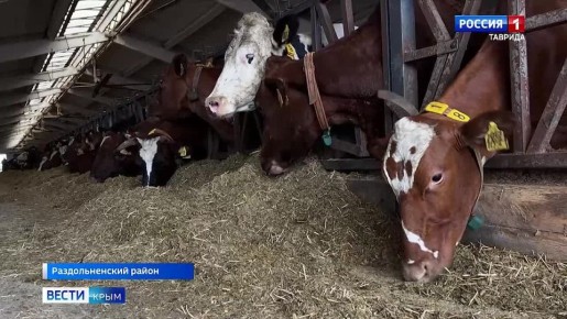 �������� ���������� �������� ������������ ����� � �������� �������� �����