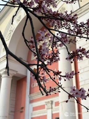 ������� ����� � �� �������� �����