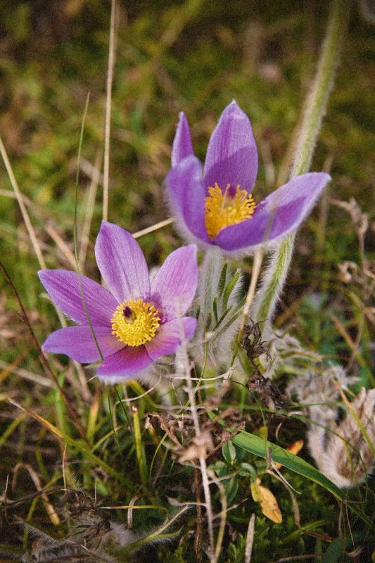 ����� �� ������. �� ���� � �������� ����� ����������, � ��� ����� � �������������: