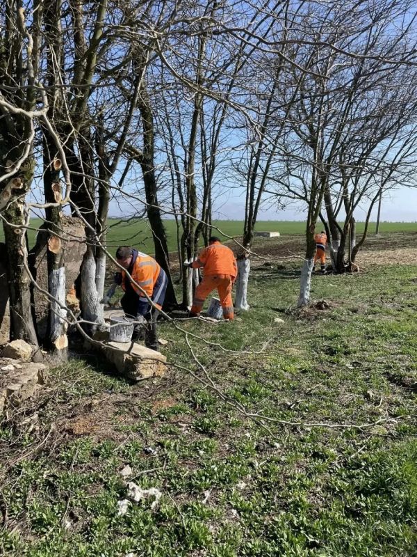 ���������� �� "�����������" ������� ��������� �� ���������� ��������������� ������