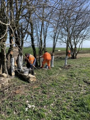 ���������� �� "�����������" ������� ��������� �� ���������� ��������������� ������