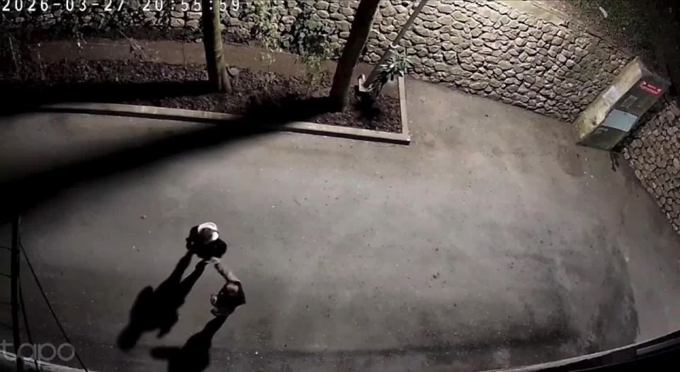 �������� �������� ��������