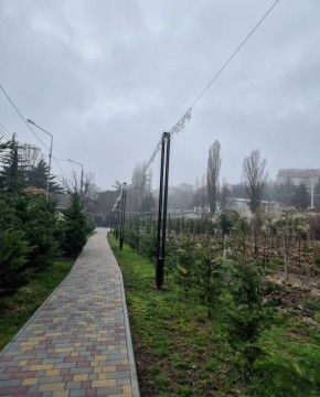 Галина Огнёва: Доброе утро, друзья!. Весна в Алуште - это не только календарь, но и настроение, которое витает в воздухе на улицах, в парках, в разговорах друг с другом