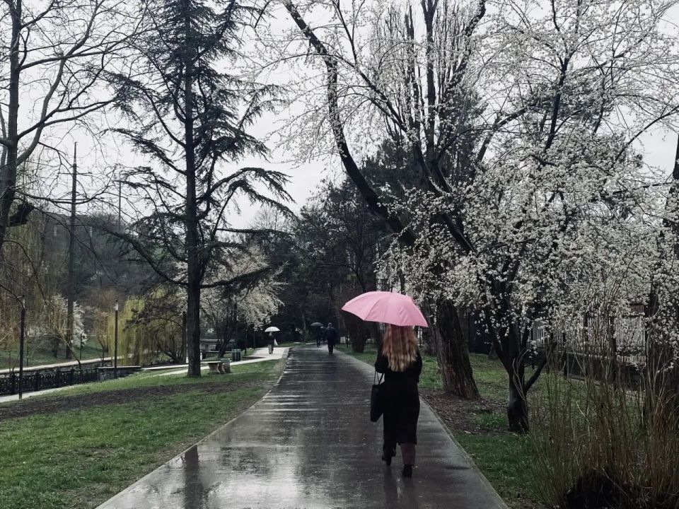 ������ � ����������� 31 �����