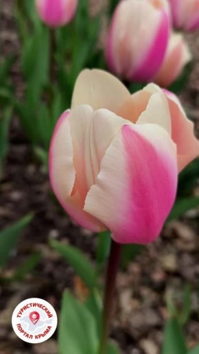 Как же хочется простого человеческого