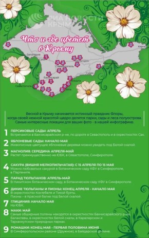 Природа Крыма богата своим разнообразием