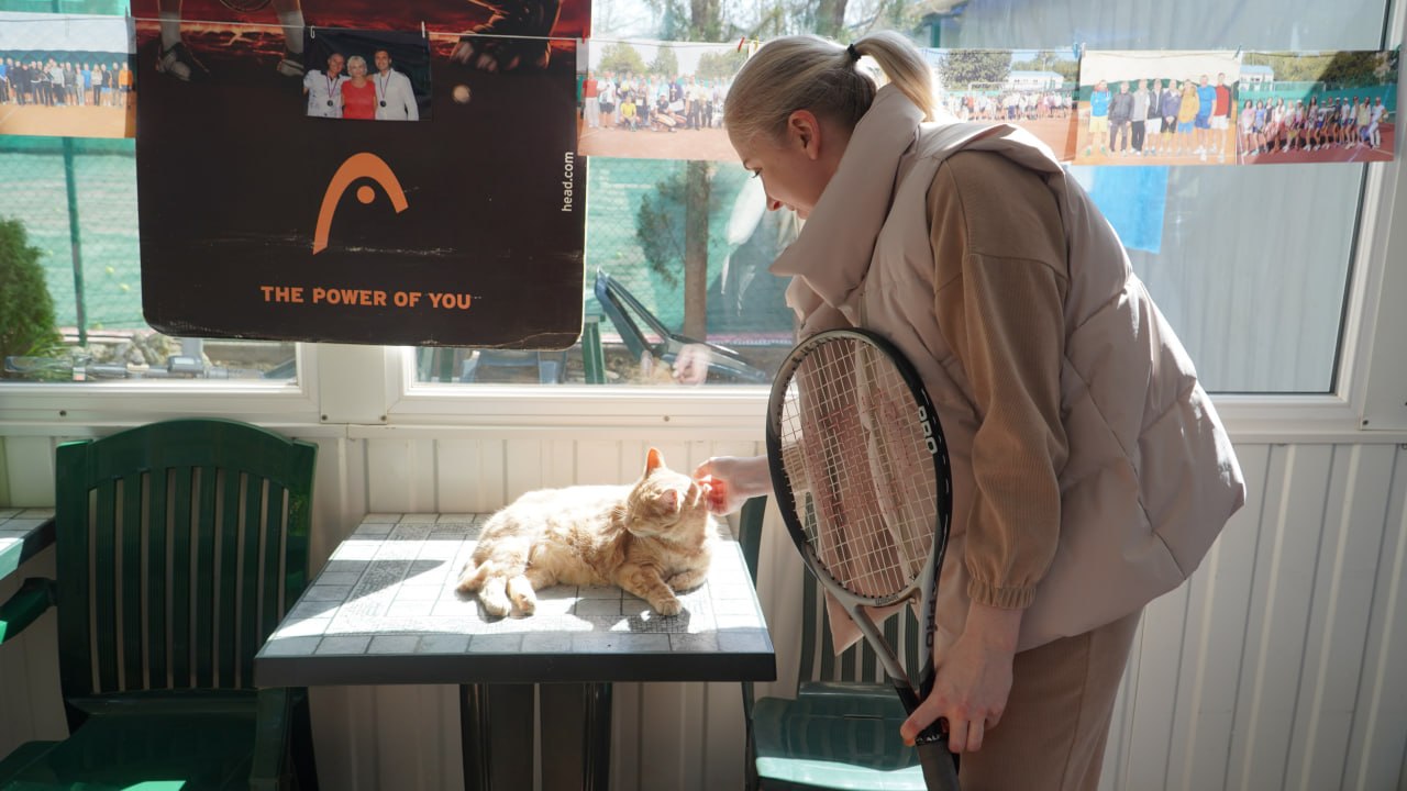 Любит наблюдать за мячами и позировать с кубками Любит наблюдать за мячами и позировать с кубками