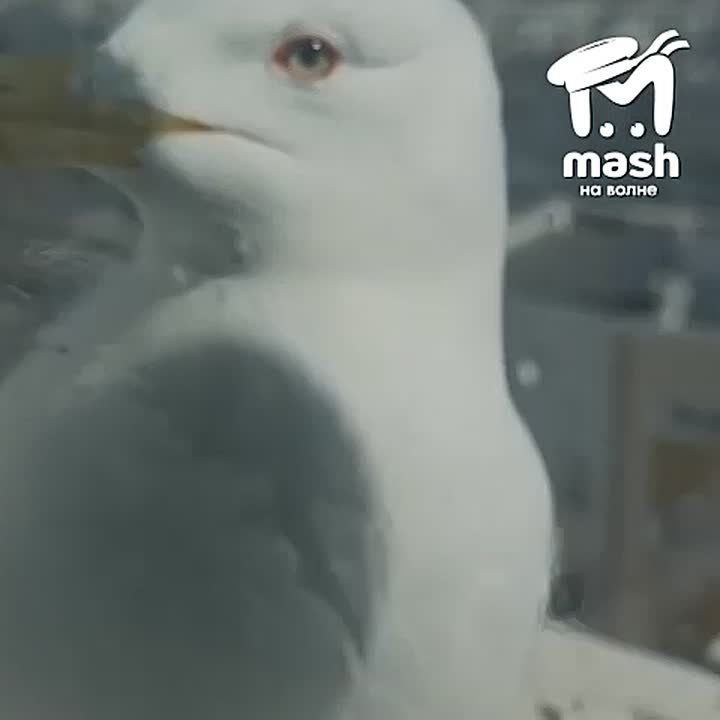 ��������������� ����� ��������� �����, ��� ���� ��������, ��� � ��� ����� ��������