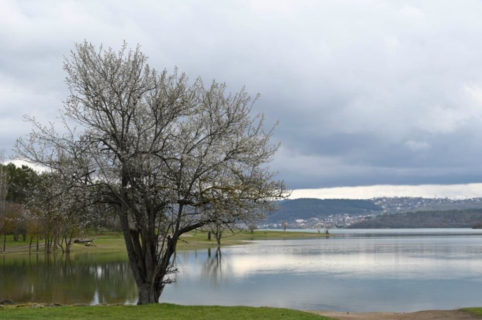 ������ ���� �������� ����� ������ ��������������� ����� � ������ �������� ��������� ����, ��� �� ���� ���������� ���