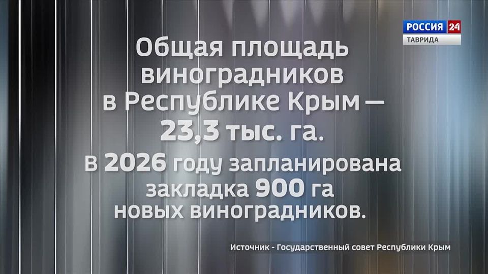 ���� � ������: ������ 31.03.2026