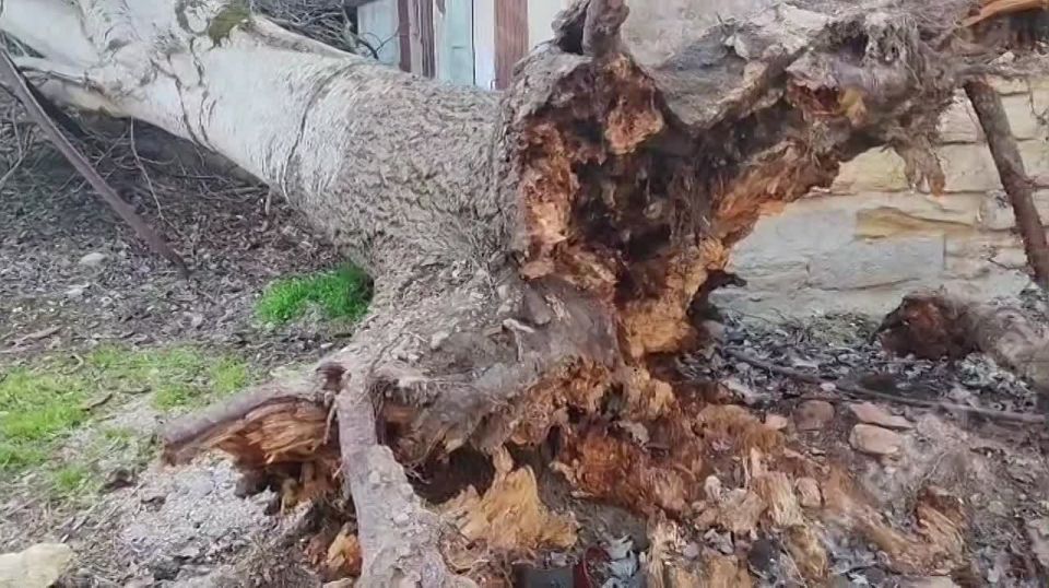 � ����� �� ����� ���������������� ���� ����� ��������� ������