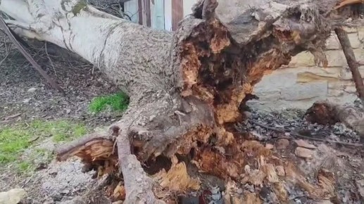 � ����� �� ����� ���������������� ���� ����� ��������� ������