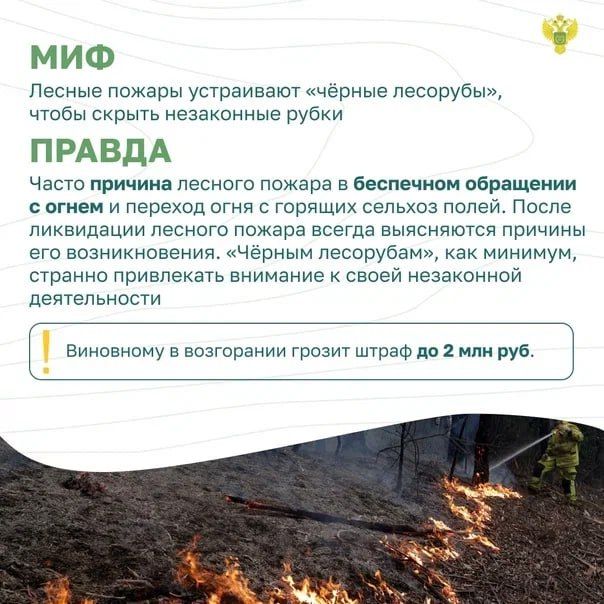 15 марта в России стартовала Федеральная информационная противопожарная кампания «Останови огонь!» 15 марта в России стартовала Федеральная информационная противопожарная кампания «Останови огонь!»