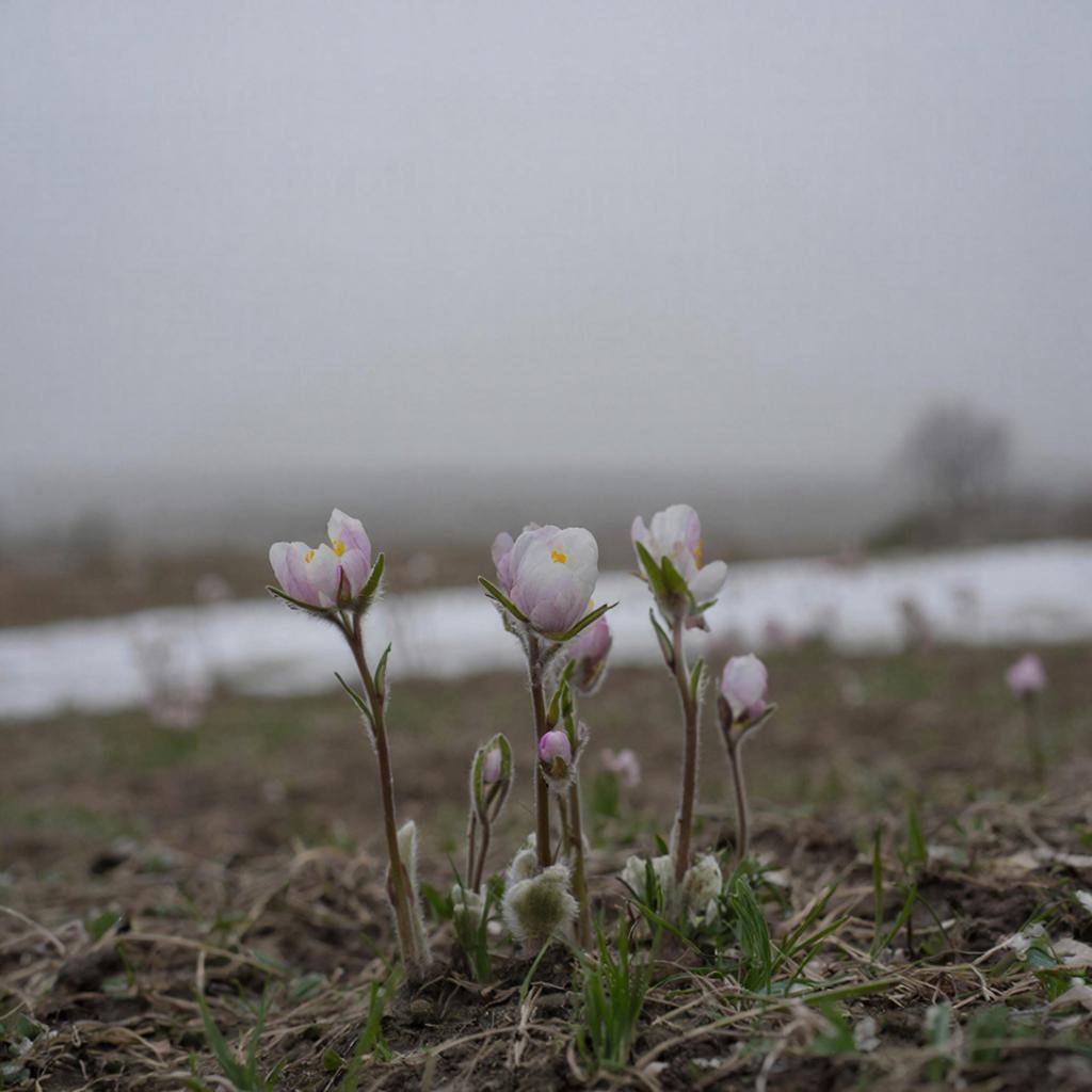 Какая погода ждёт жителей и гостей Крыма 31 марта
