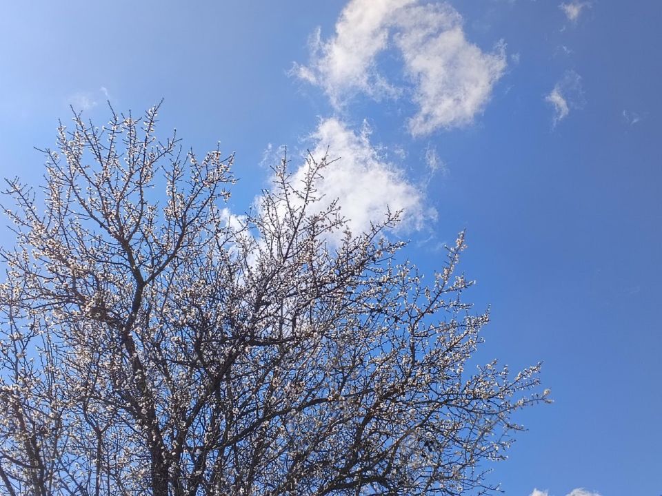 Прогноз погоды в Крыму на 1 апреля