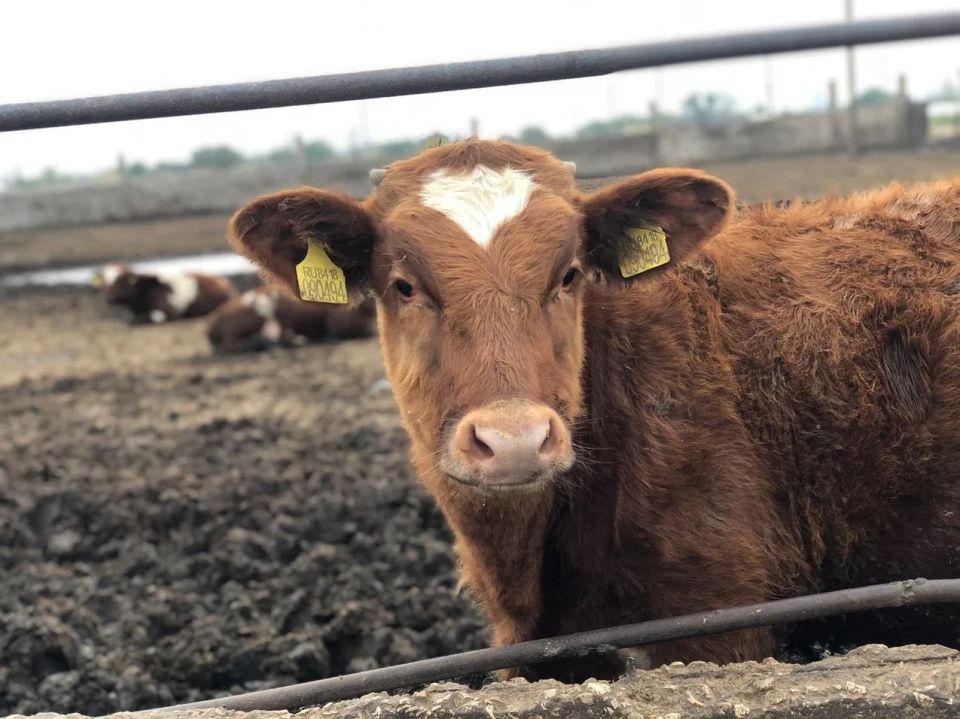 ���������� �����: �������� ������������ ������ ��� ����������� �������� ��������������!